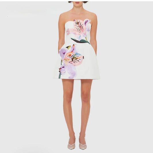 The Amara Appliqué Mini Dress