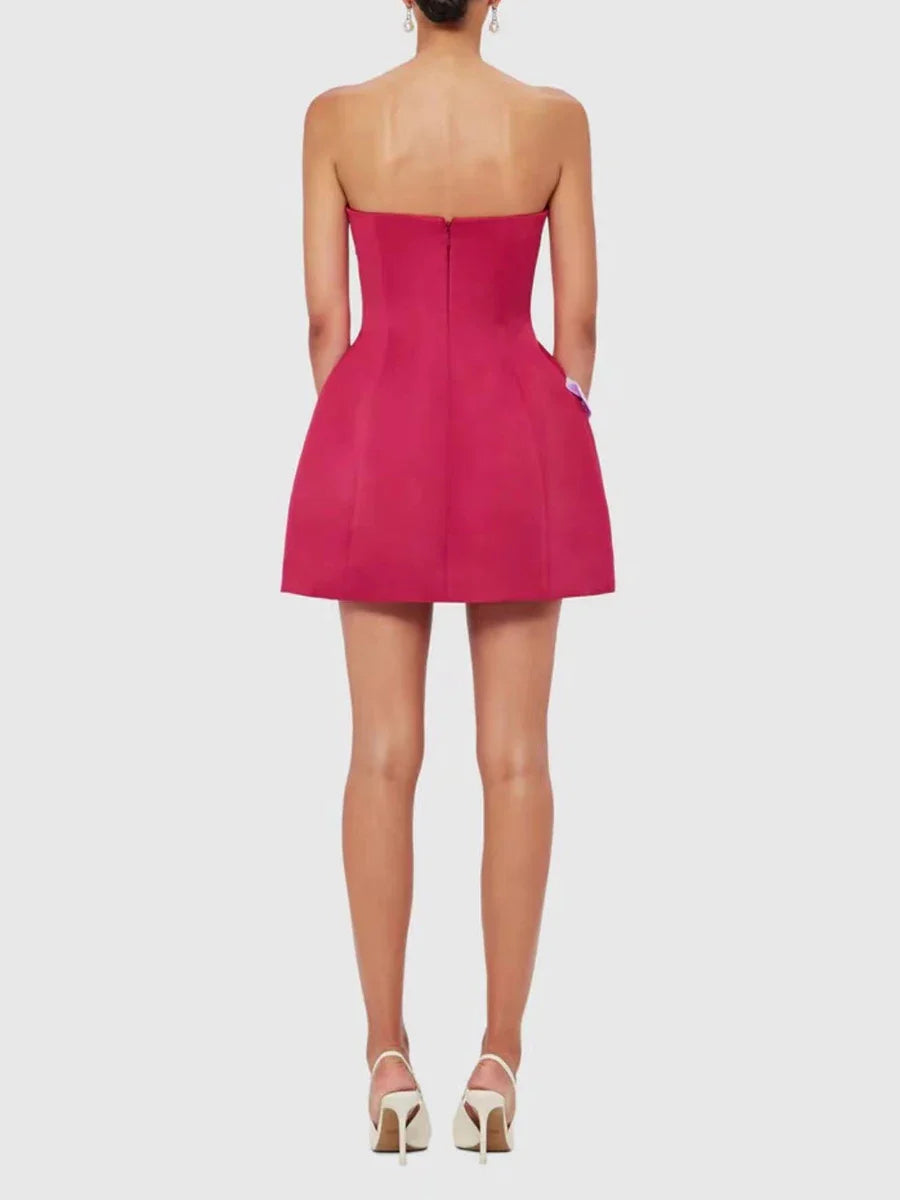 The Amara Appliqué Mini Dress from the After Dark at Lavishly Me